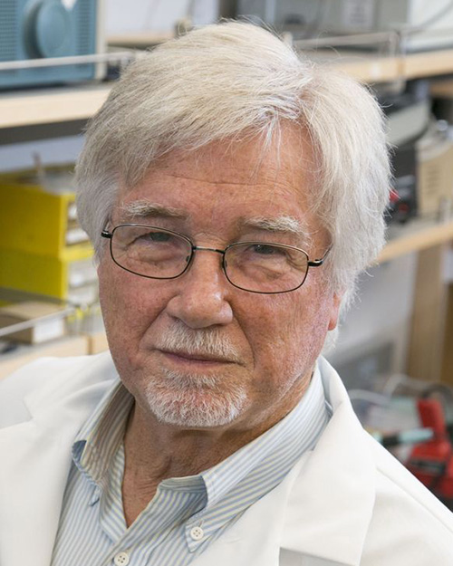 Reggie Edgerton (Credit: Reed Hutchinson/UCLA)